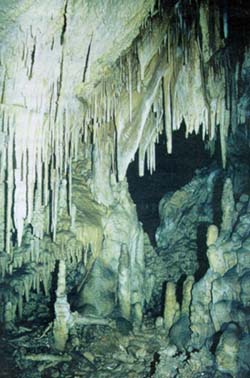 berig7.JPG (28861 bytes)